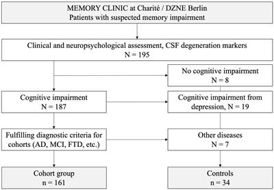 Brain-targeting autoantibodies in patients with dementia